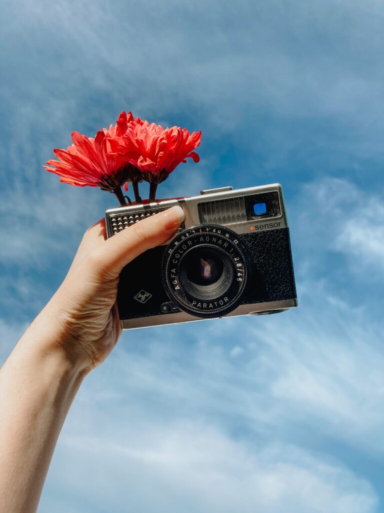 holding vintage camera with a red carnation flower in the sky